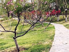 -北坞公园
