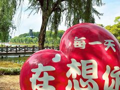 -上海鲜花港