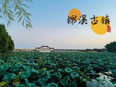 -张记袜底酥(锦溪店)