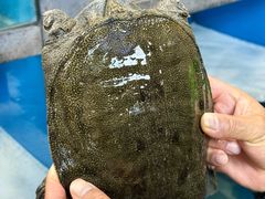 -品鲜村农家菜·阳澄湖大闸蟹(总店)
