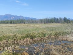 -野鸭湖国家湿地公园