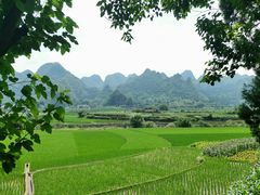 -万峰林风景区