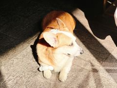 -771餐吧·咖啡·西餐·烤肉(金湖广场店)