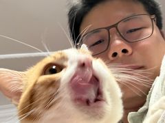 -八公叔叔宠物美容连锁(春申店)