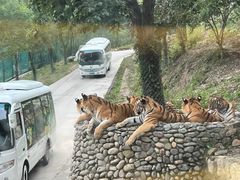 -栾川竹海野生动物园