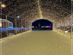 -长春世界雕塑园冰雪艺术天地