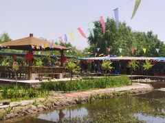 -同銮特种养殖场·龙虾垂钓