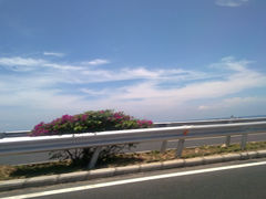 201105051474-三亚湾海居铂尔曼度假酒店