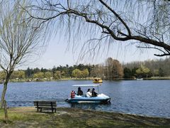 -上海共青森林公园