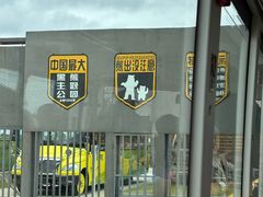 -黑瞎子岛探秘野熊园