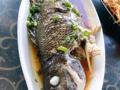 -七鲜渔港美食餐厅(巽寮湾海景店)