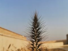 -盘龙城国家考古遗址公园