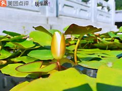 -溪口-滕头旅游景区