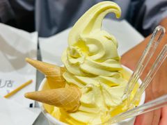 -新世界百货(明洞总店)