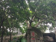 -船政文化景区-罗星塔公园