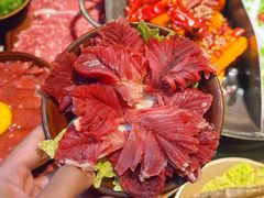 -阳阳老火锅(小南门店)