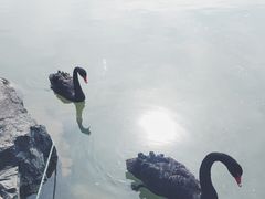 -上海怡沁园度假酒店