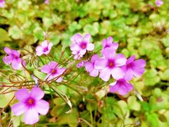 -上海滴水湖皇冠假日酒店