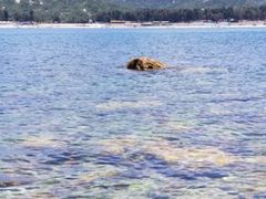 -西涌国际滨海旅游区