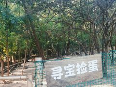 -南翠屏公园