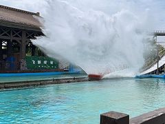 -厦门方特东方神画