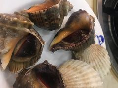 -春华海鲜城(广场西苑店)