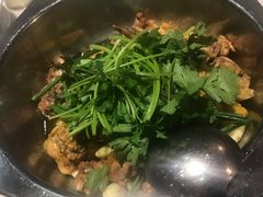 土鸡锅-九道菜有鸡鱼头(石鼓路店)