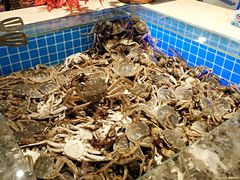 -万象·复兴号鲜肉烤肉海鲜自助(升级店)