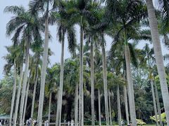 -中国科学院西双版纳热带植物园