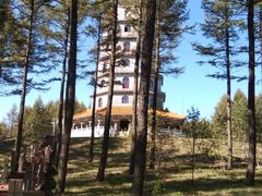 -塞罕坝国家级自然保护区