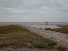 SAM_3268-南汇嘴观海公园