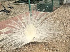 -南京金牛湖风景区