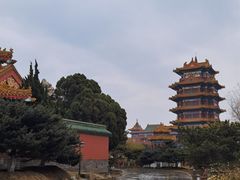 -宾朋海鲜饭庄(兴海路店)