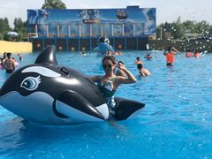 -海盗传奇水世界