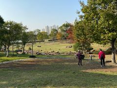 -白塘生态植物园