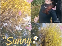 -上海科技馆(地铁站)