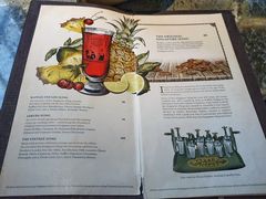 -Long Bar(莱佛士酒店)