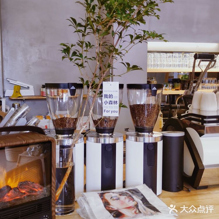 关于我啃了本新华字典这件事