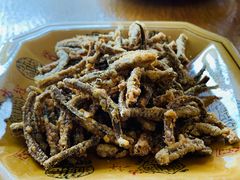 -乐山第一家临江鳝丝(茶坊路店)