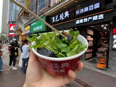 -黑色经典臭豆腐·湖南特产(坡子街店)