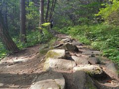 -秦岭风景区