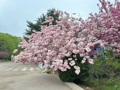 -石岛赤山风景区