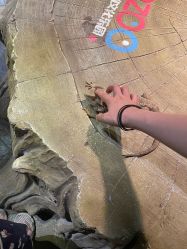 -酷嗒动物文化乐园(cutezoo西溪乐天城店)