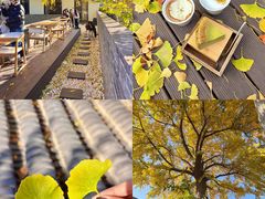 -自如ZSPACE四合院艺术餐厅