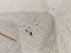 -雨林宠物医院 非犬猫异宠专科
