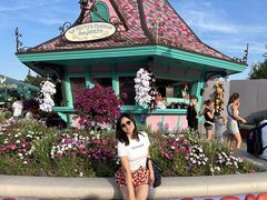 -巴黎迪士尼乐园