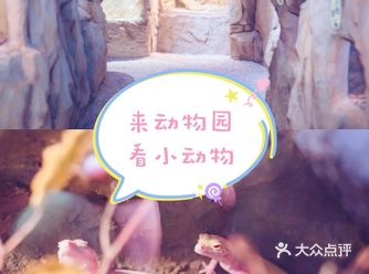 来苏州看小动物还有折扣喔