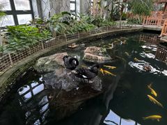 -南宫五洲植物乐园