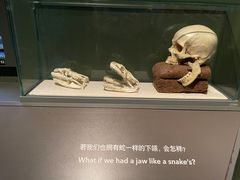 -上海自然博物馆
