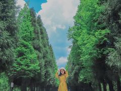 -山王坪喀斯特国家生态公园
